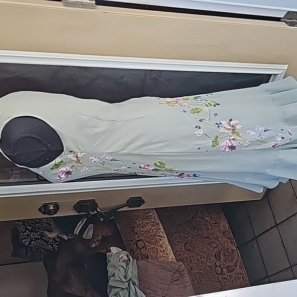 Green beaded dress with cover up - Picture 6 of 16